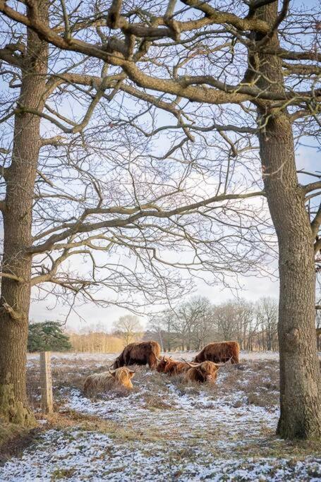 Вилла Leva - Logeren In Drenthe Doldersum Экстерьер фото