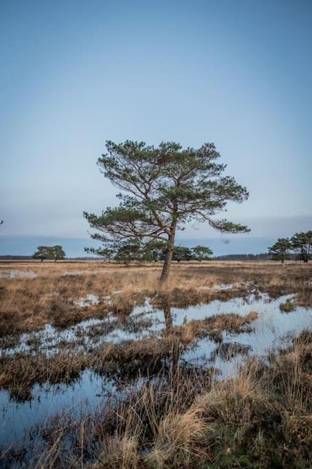 Вилла Leva - Logeren In Drenthe Doldersum Экстерьер фото