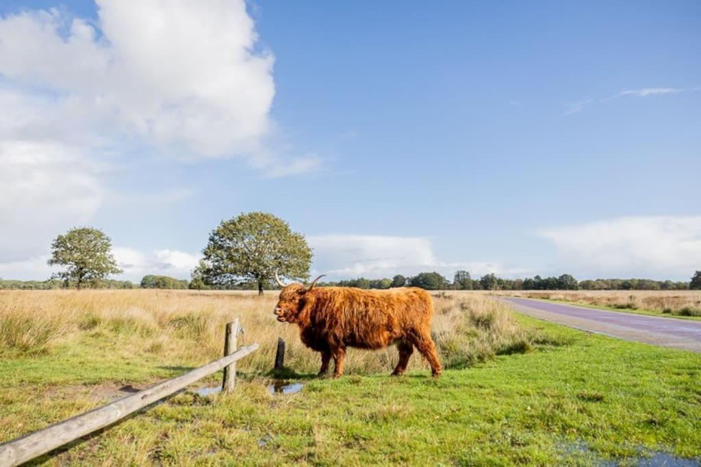 Вилла Leva - Logeren In Drenthe Doldersum Экстерьер фото